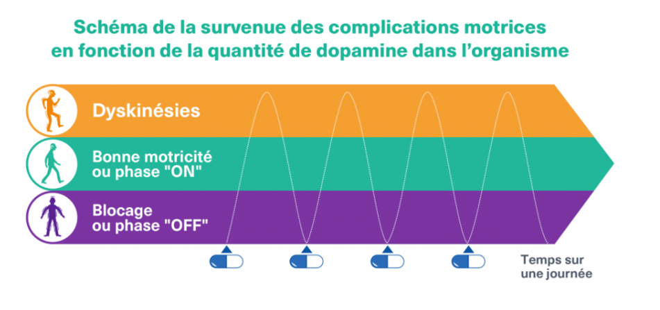 Schéma des fluctuations motrices